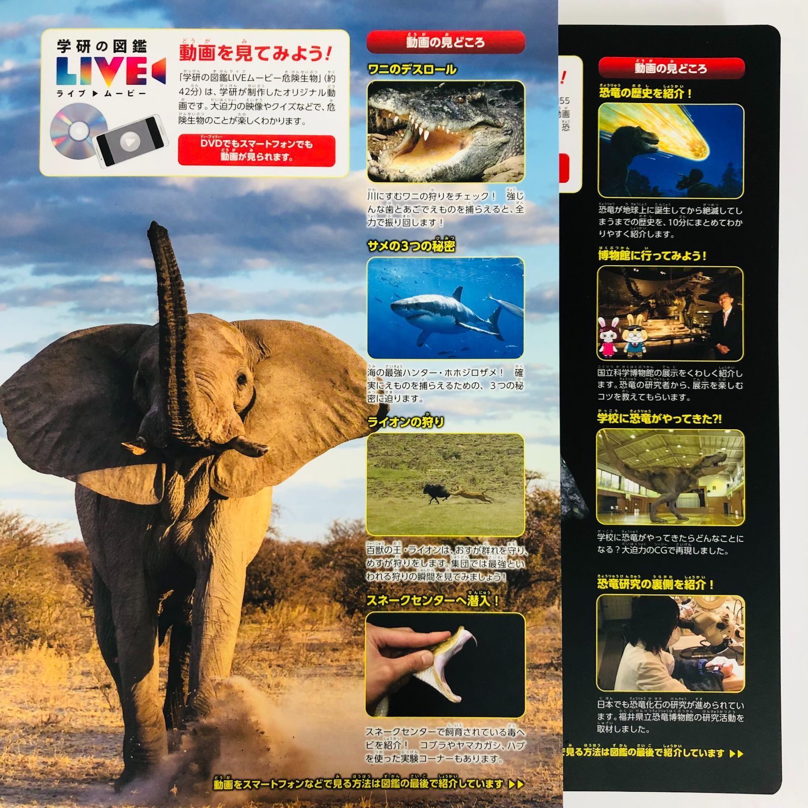 ◇[F]図鑑まとめ売り11冊 学研の図鑑LIVE 新版あり DVD9枚付 - メルカリ
