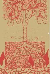 自治と自給自足:Una teor?a ecosocial y materialista de la libertad
