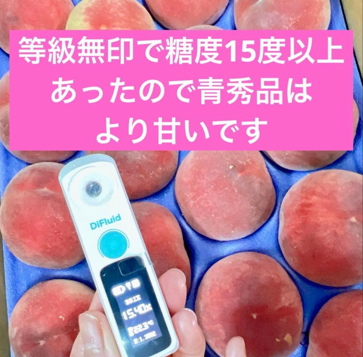 猿投の桃 加納岩白桃 青秀品 1.6kg - メルカリ