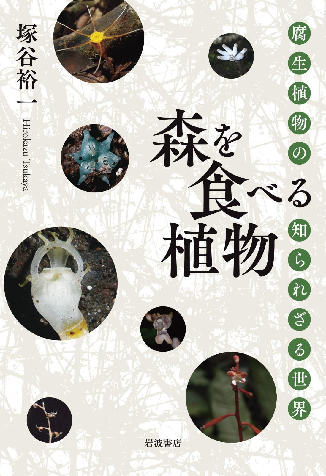 源氏物語 5冊（第4巻なし） 本・雑誌・漫画 文学・小説公式WEBショップ