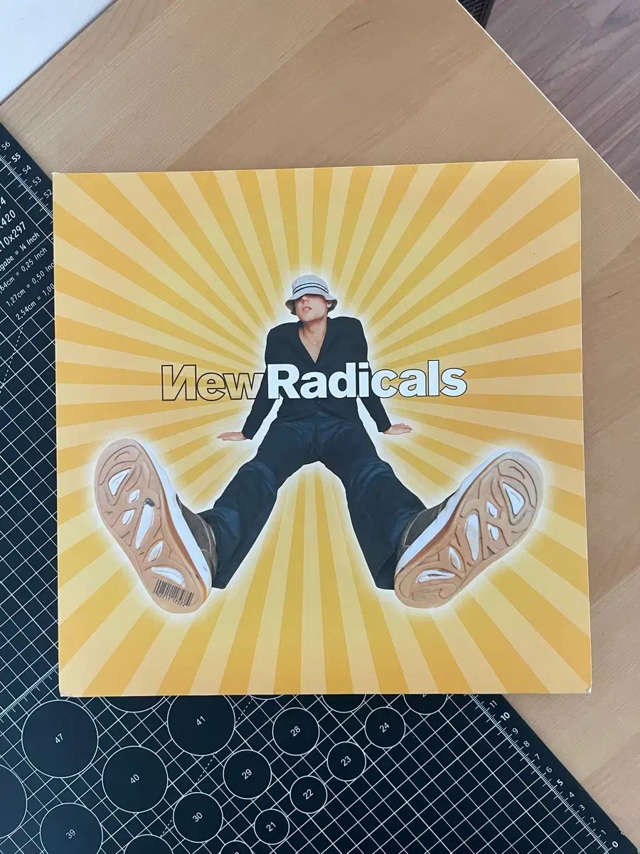 ニュー(NEW・チャニ) ラディカルス New Radicals LP - メルカリ