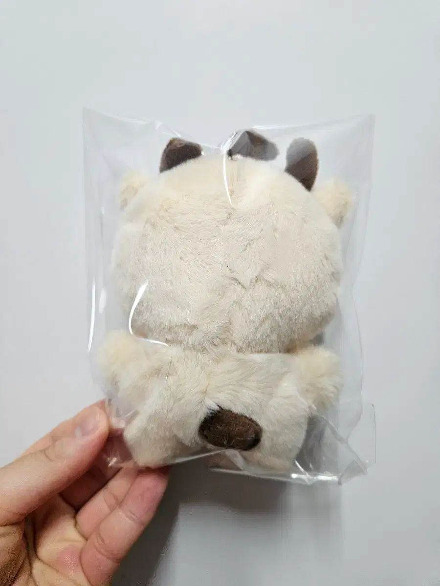 トレカなし パク・ジフン(PARK JIHOON) ソシミ ぬいぐるみ