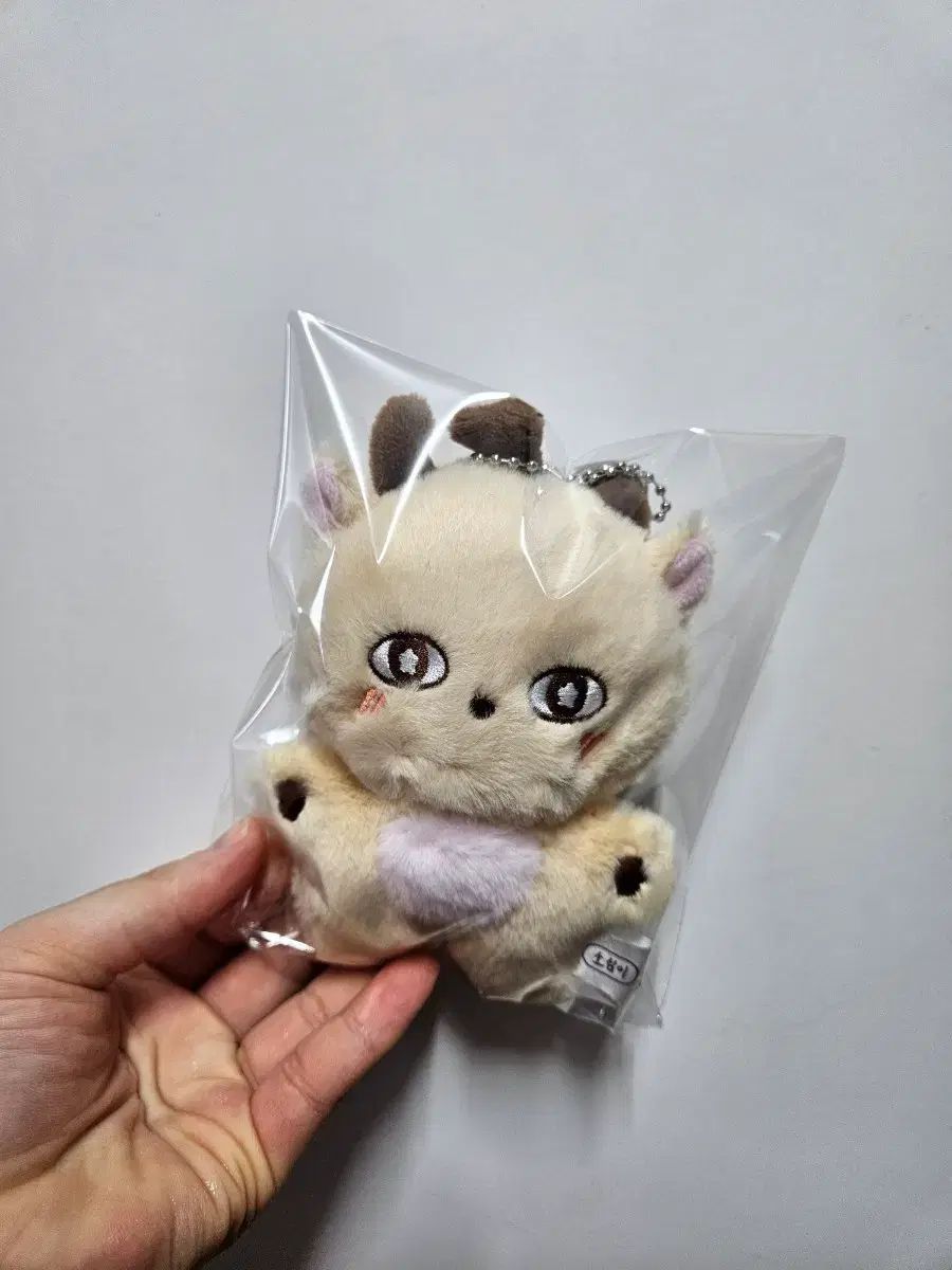 トレカなし パク・ジフン(PARK JIHOON) ソシミ ぬいぐるみ