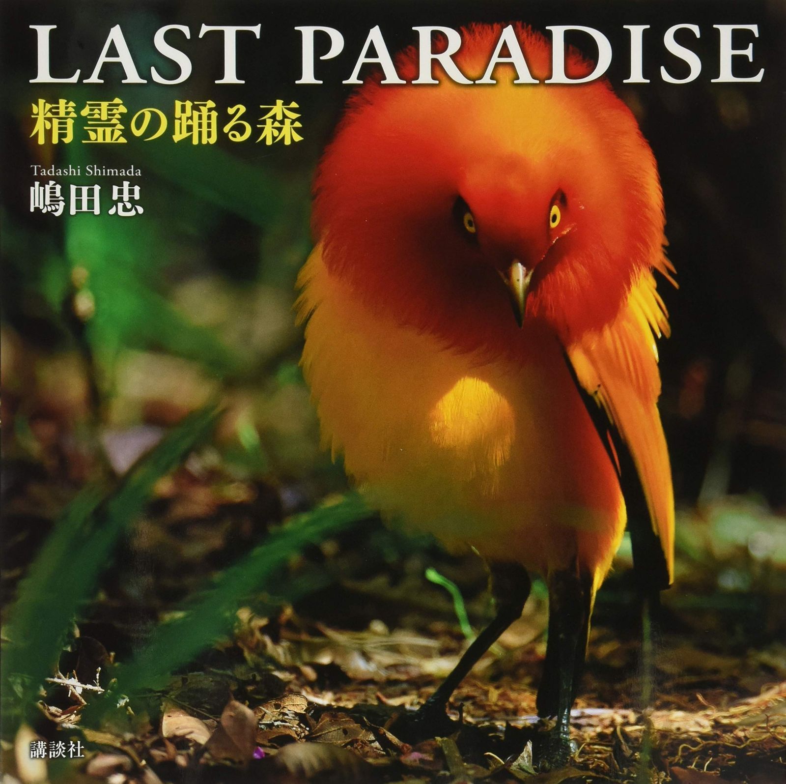 LAST PARADISE 精霊の踊る森