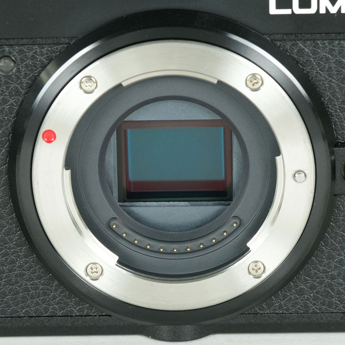 美品 | シャッター数3,119回] Panasonic LUMIX DC-GX7MK3 ブラック