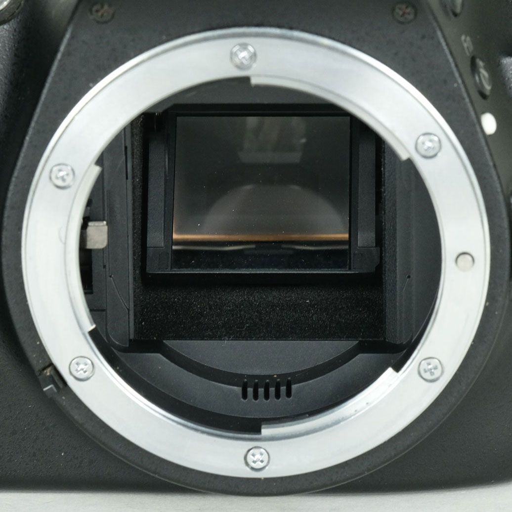 良品 | シャッター数17,496回] Nikon D5100 ボディ | ニコンFマウント