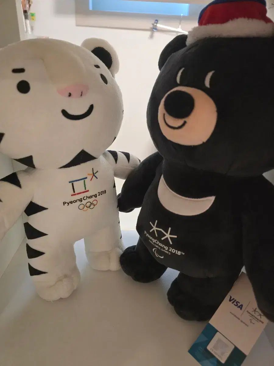 ピョン チャン オリンピック 無理