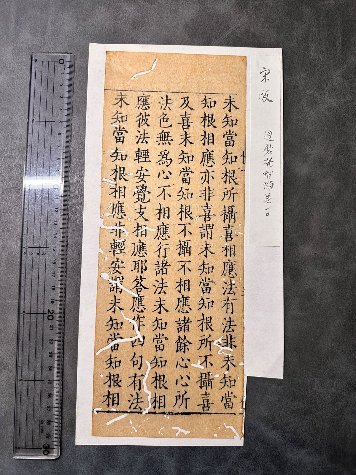 宋版佛経 達磨發智論 1紙6行 唐本 宋版 仏経