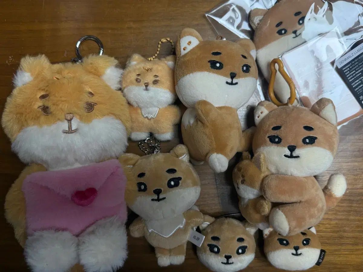 DAY6 ヨンケイ ケ둥이 MD まとめ