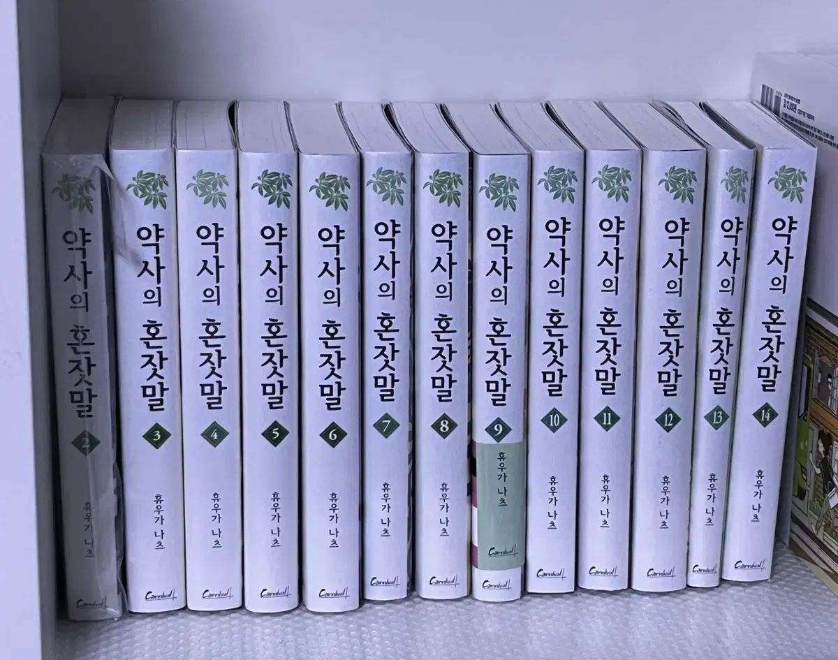 薬屋の独り言 小説(ラノベ) 2 14巻 (特典O)