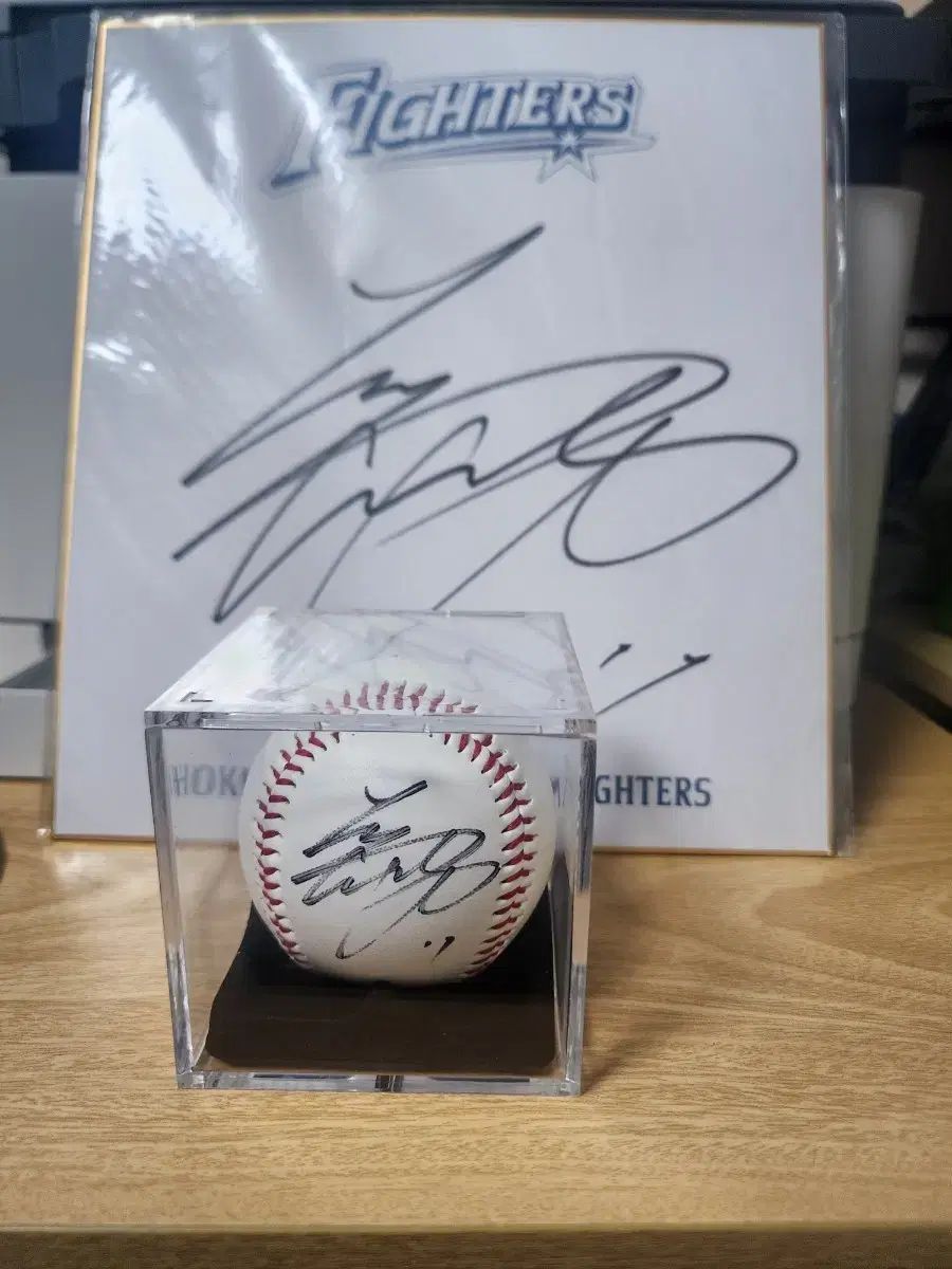 日本ハムファイターズ 大谷 サインボール + 日本ハム ロゴ サイン
