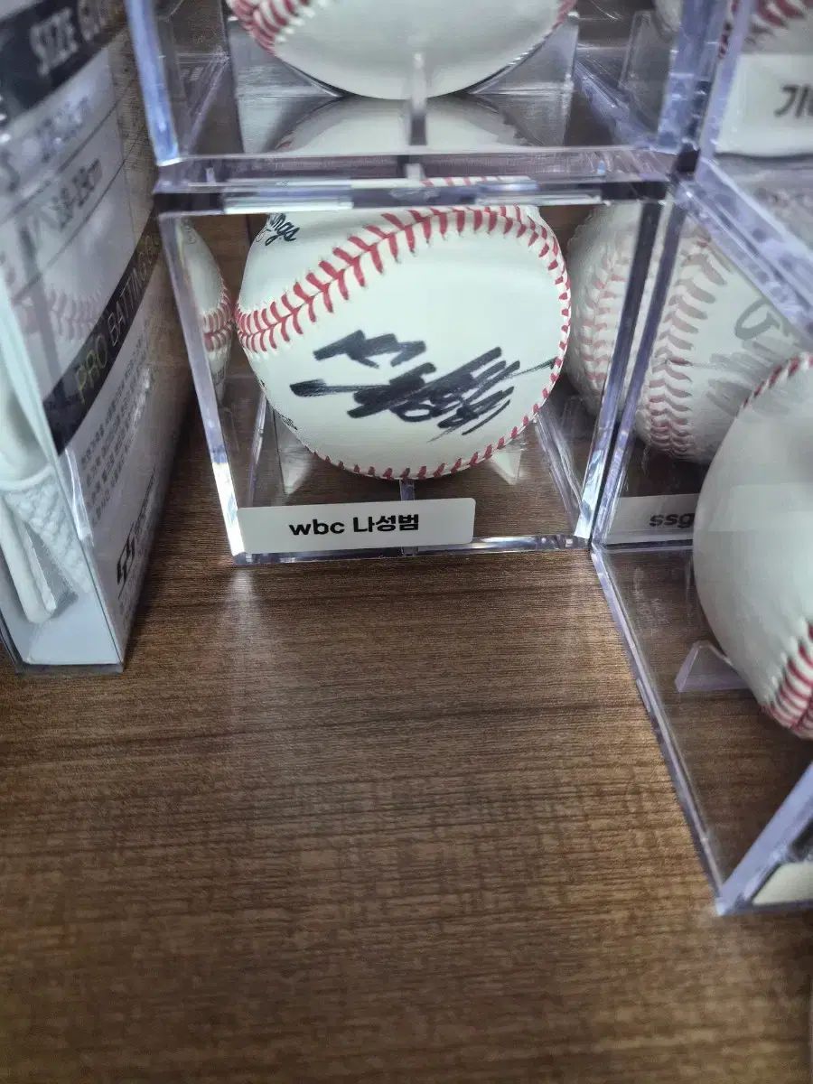 2023 WBC 羅 成範(ナ・ソンボム) サインボール
