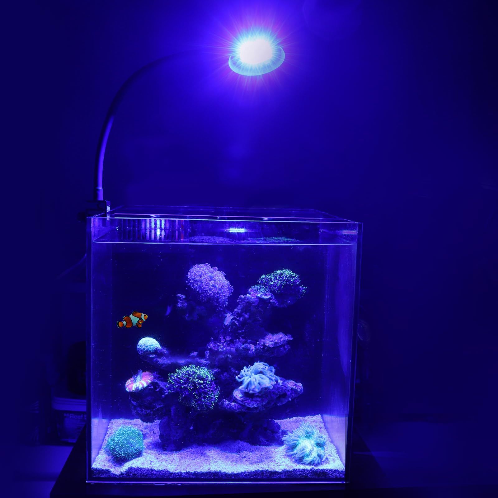 hygger 海水魚ライト サンゴライト 30-50cm水槽に適合 水槽ライト 海水