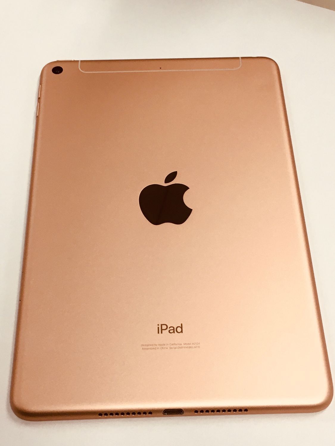 美品 電池83％ Apple iPad mini 5 SIMフリー 64GB ゴールド【動作確認