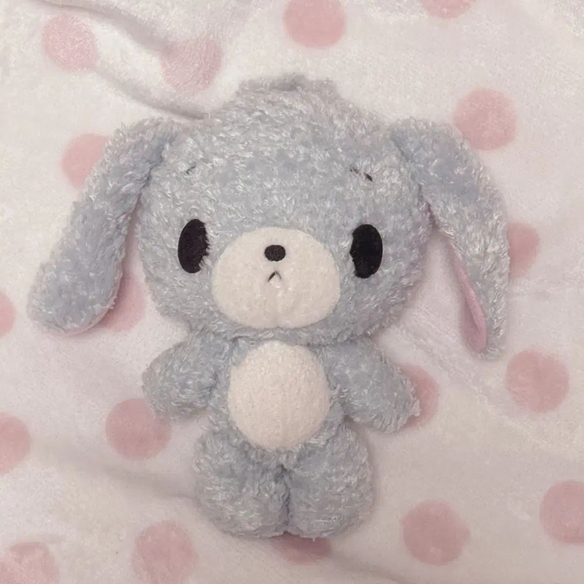 シュガバニーズ アオウサ