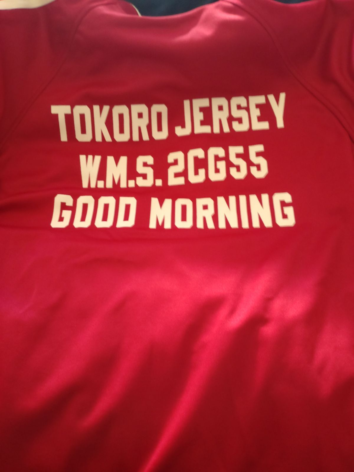 激レア　TOKORO JERSEY 赤 ジャケット L 激レア TOKORO JERSEY 赤 ジャケット L - メルカリ