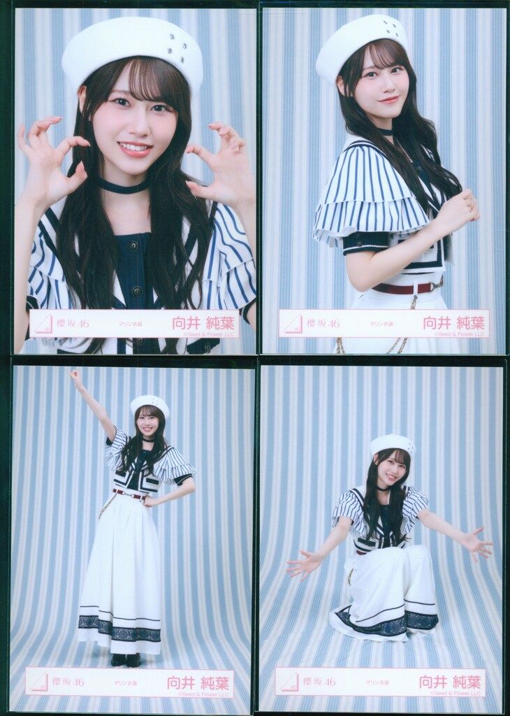 櫻坂46★向井純葉Lonesomerabbitマリン衣装24種コンプ 櫻坂46 Lonesome rabbit / What's “KAZOKU”? 向井純葉 マリン衣装