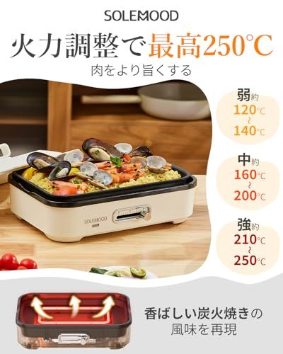SOLEMOOD ホットプレート おしゃれ? たこ焼き 焼肉 パエリア アヒージョ お手入れ簡単 洗いやすい 温度調節機能 プレート種類組み合わせて選択可能 一人暮らし 2人 3人用にも (ホワイト, プレート3種(平面・たこ焼き・鍋))e 0bf474f6