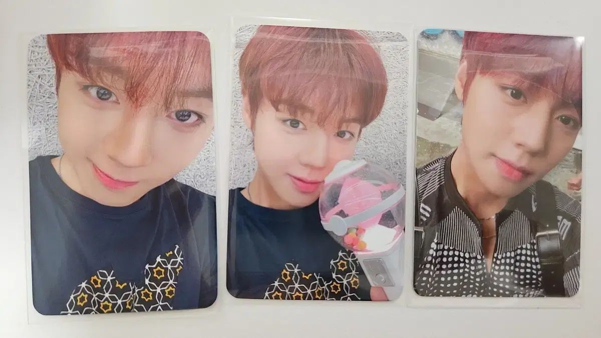 パク・ジフン(PARK JIHOON) DEAR MY MUSE DMM ONE Tシャツ トレカ