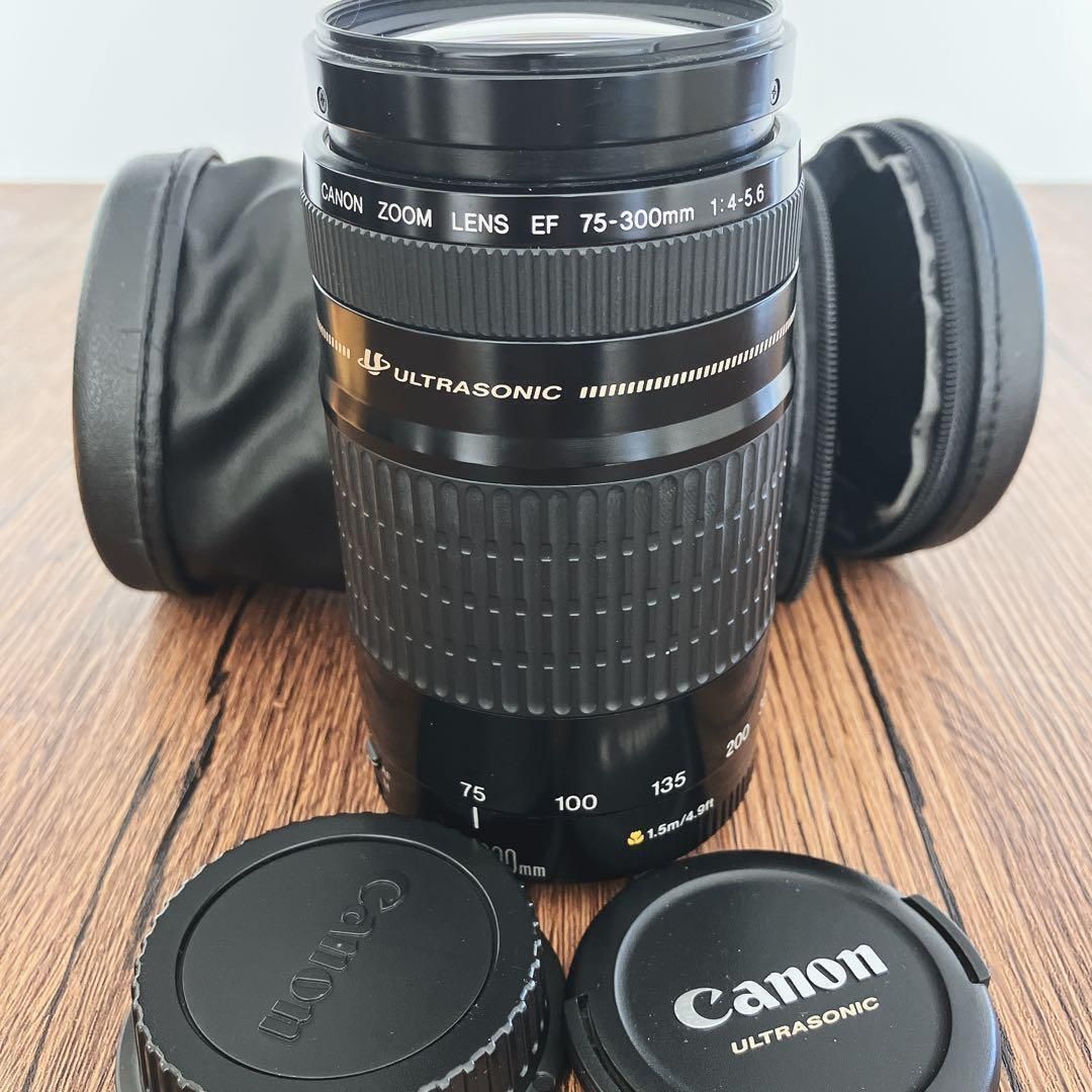 Canon EF 75-300mm f/4-5.6 USM キヤノン 一眼レフカメラ用 ズーム