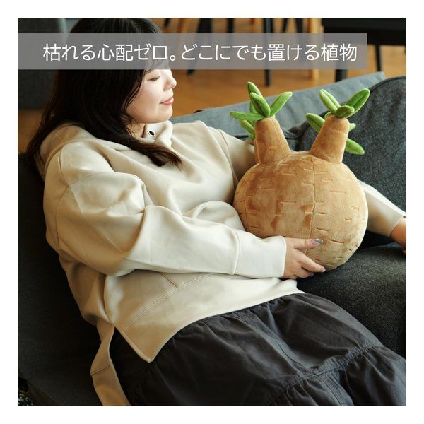 BIBIPLANTS ビビプランツ 植物ぬいぐるみクッション パキポディウム LPG-NP102 (2683748) BIBIPLANTS ビビプランツ 植物ぬいぐるみクッション パキポディウム LPG-NP102 (2683748)