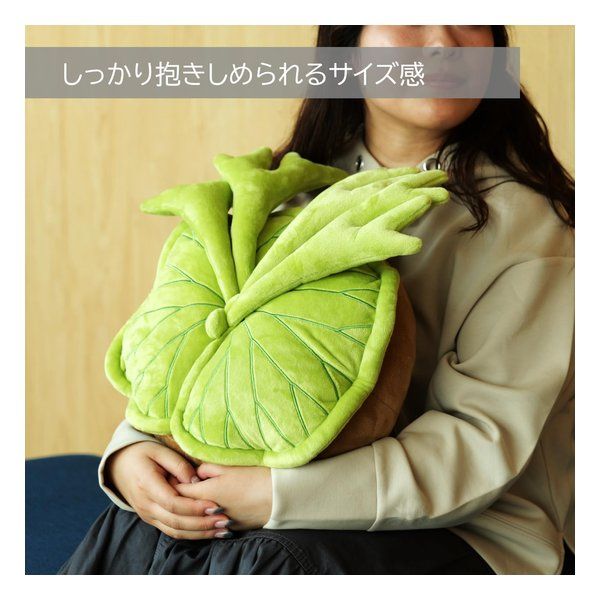 BIBIPLANTS ビビプランツ 植物ぬいぐるみクッション パキポディウム LPG-NP102 (2683748) BIBIPLANTS ビビプランツ 植物ぬいぐるみクッション パキポディウム LPG-NP102 (2683748)