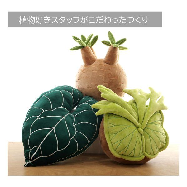 BIBIPLANTS ビビプランツ 植物ぬいぐるみクッション パキポディウム LPG-NP102 (2683748) BIBIPLANTS ビビプランツ 植物ぬいぐるみクッション パキポディウム LPG-NP102 (2683748)