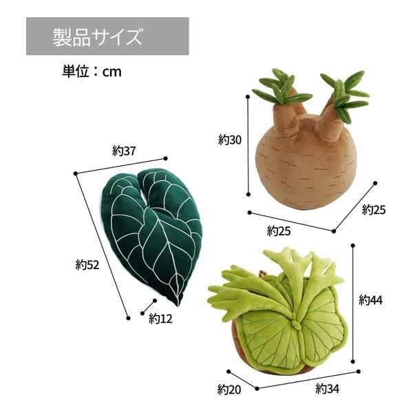 BIBIPLANTS ビビプランツ 植物ぬいぐるみクッション パキポディウム LPG-NP102 (2683748) BIBIPLANTS ビビプランツ 植物ぬいぐるみクッション パキポディウム LPG-NP102 (2683748)