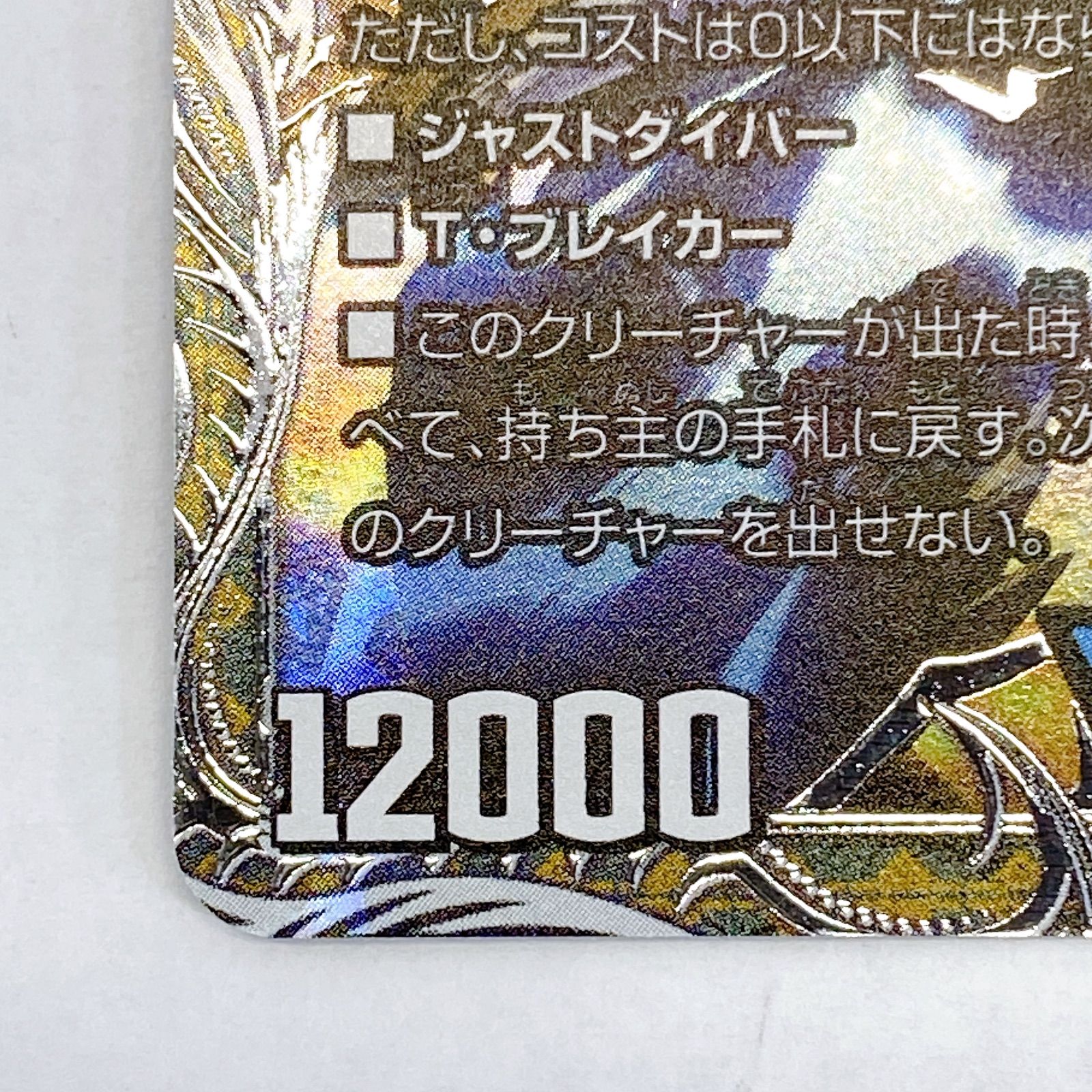 □飛翔龍 5000VT 25RP3 VIC TR1/TR9 美品 2枚セット□ - メルカリ