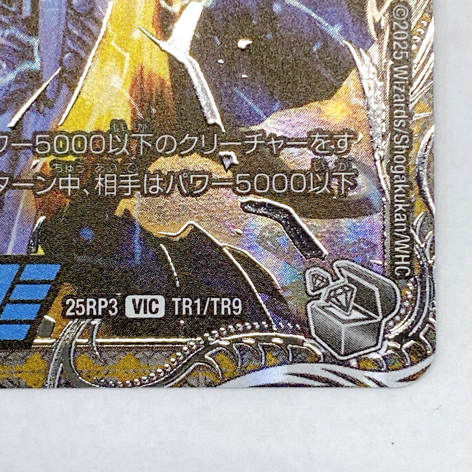 □飛翔龍 5000VT 25RP3 VIC TR1/TR9 美品 2枚セット□ - メルカリ