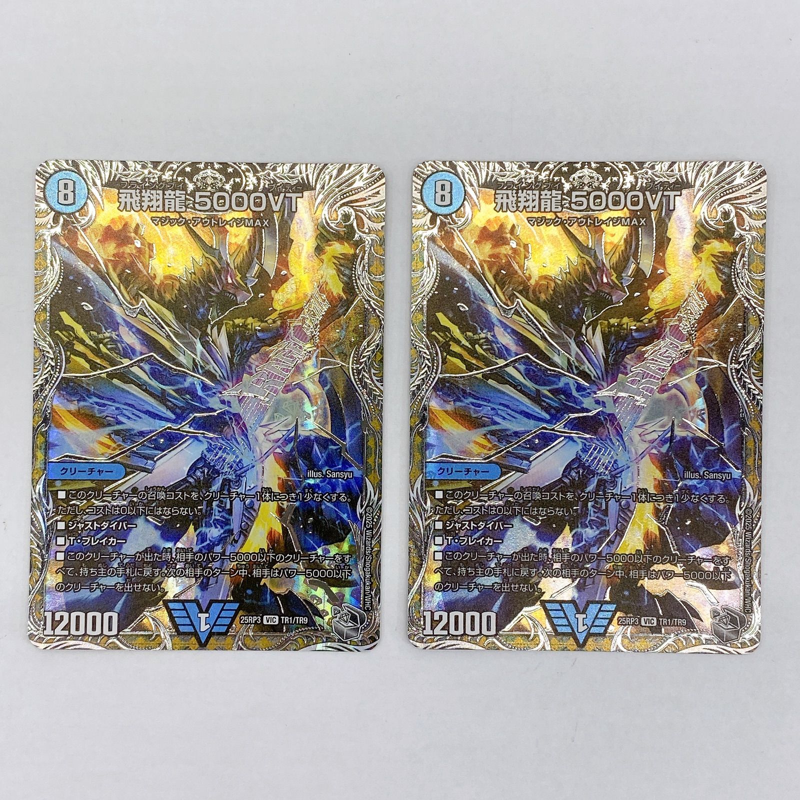 □飛翔龍 5000VT 25RP3 VIC TR1/TR9 美品 2枚セット□ - メルカリ