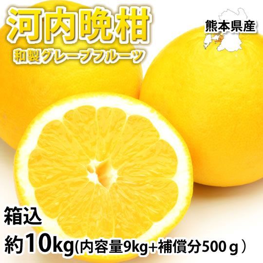 熊本県産　河内晩柑　大玉　訳有り　　10Kg 　 コメント用 訳あり河内晩柑 10kg 熊本県産 送料無料 - メルカリ