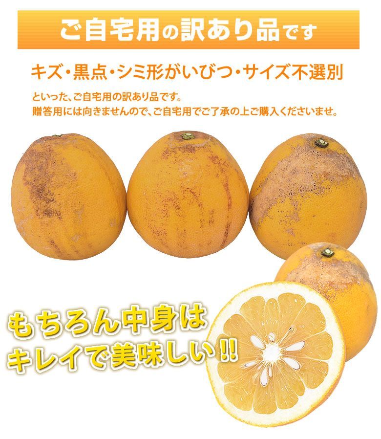 訳あり河内晩柑 10kg 熊本県産 送料無料 - メルカリ