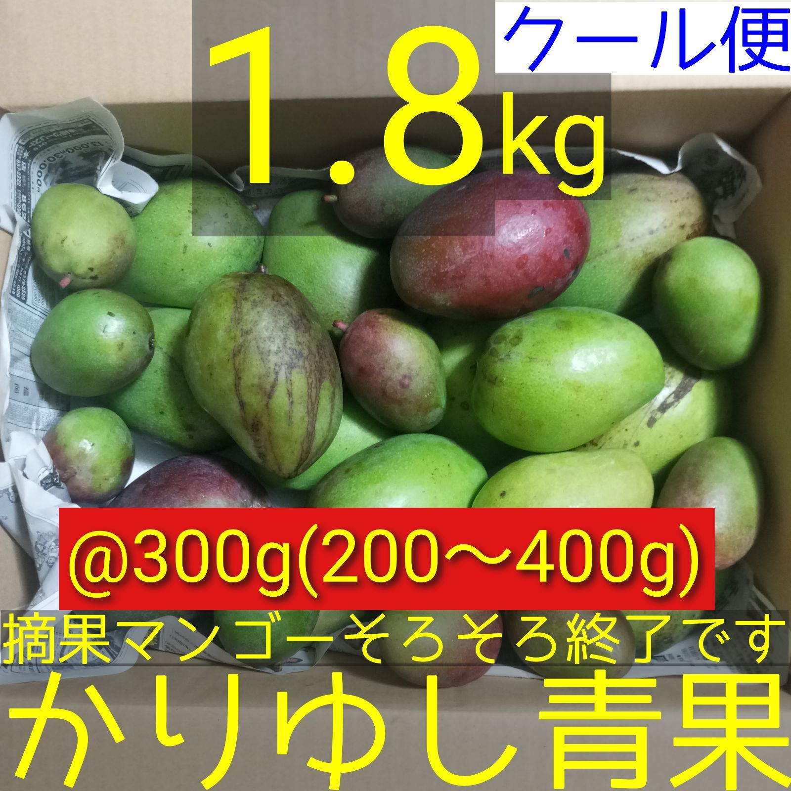 沖縄産 摘果青マンゴー B品 1.8kg クール便 - メルカリ