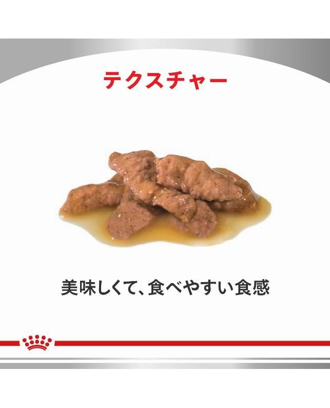 訳あり パウチ11個セット (バラ)猫用 ユリナリーS/O パウチ 85g