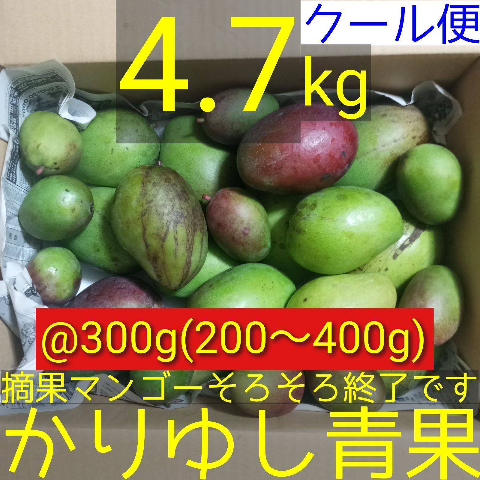 沖縄県産青マンゴー11kg(クール便発送) 沖縄産 青マンゴー B品 4.7kg クール便 - メルカリ