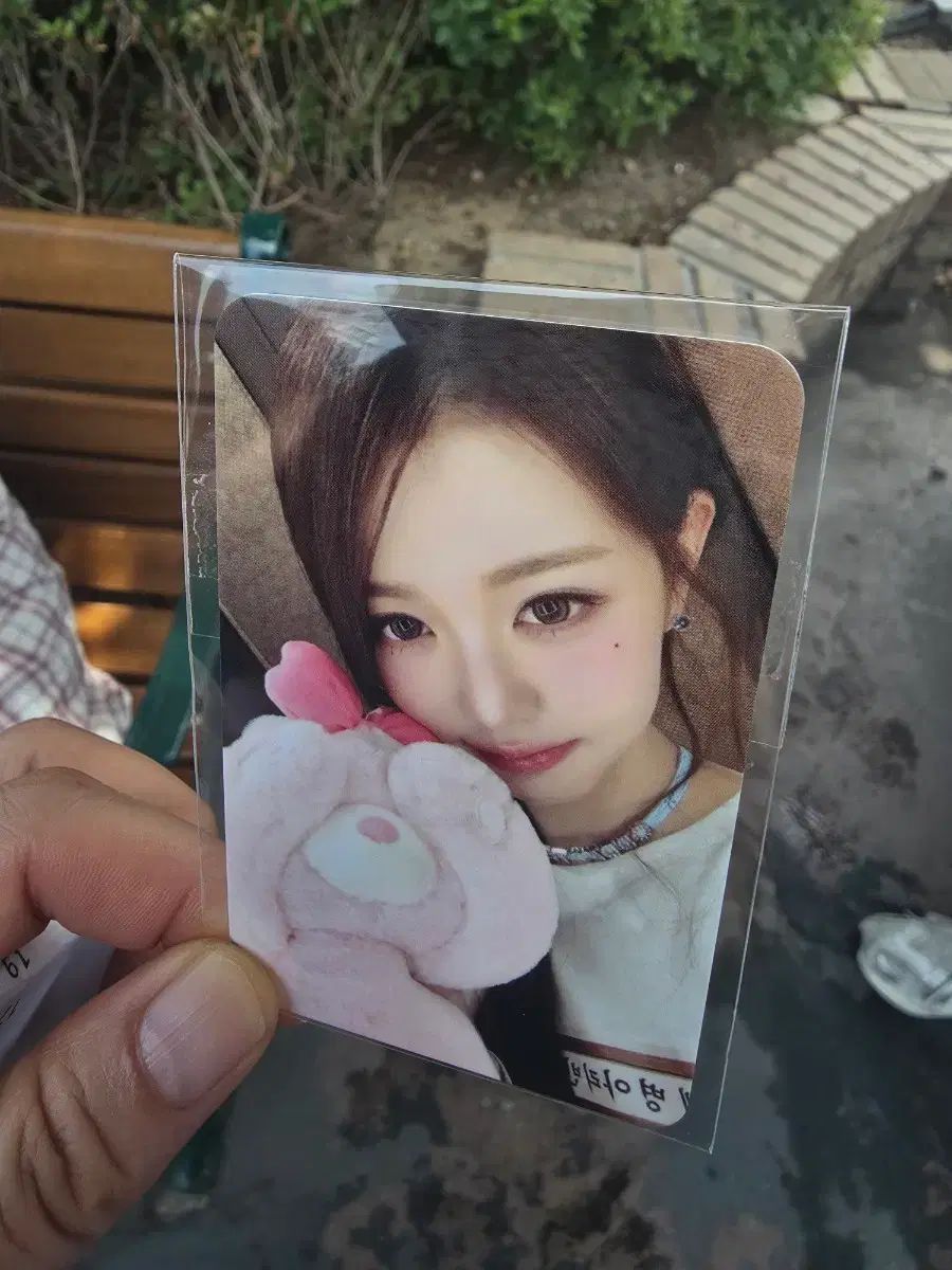 エバーランド IVE ウォニョン(WONYOUNG・チャンウォニョン) 入場 トレカ 6,529円
