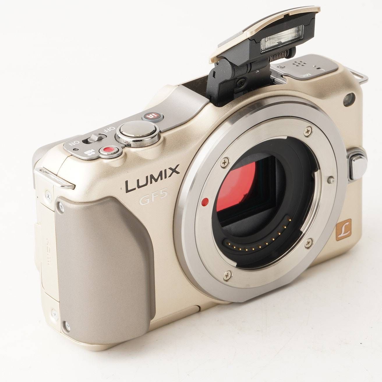 パナソニック Panasonic LUMIX DMC-GF5 / LUMIX G X VARIO 14-42mm F3