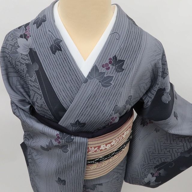 百華 Y5197◇美品 夏着物 葡萄蔦 絽 正絹 居敷当て付き 小紋 - メルカリ