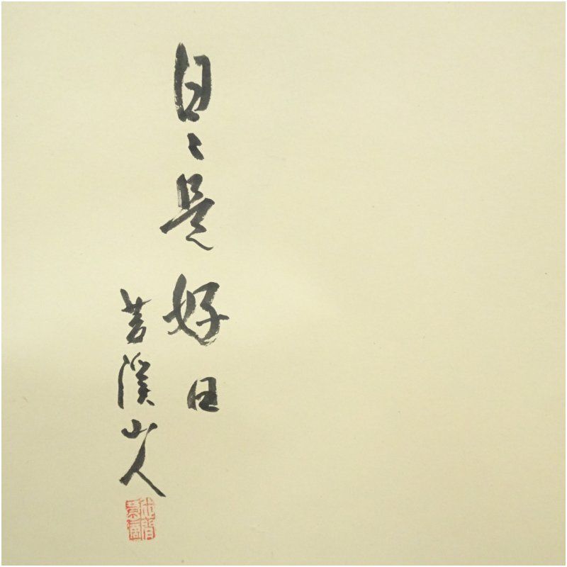 苔渓山人筆 「日々是好日」茶道具画賛 肉筆紙本掛軸（保護箱） 掛け軸