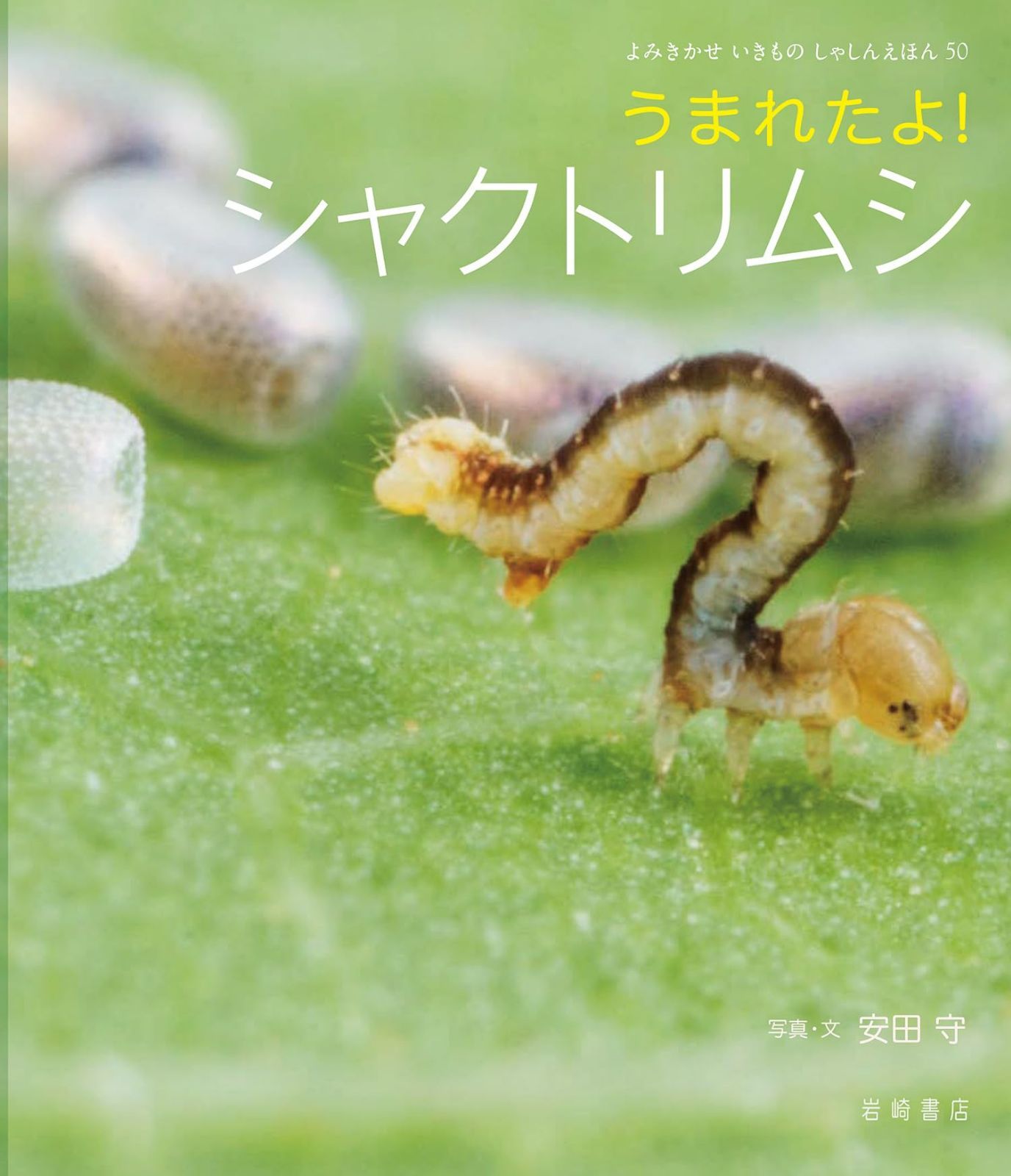 うまれたよ!シャクトリムシ (50) (よみきかせいきものしゃしんえほん 50)