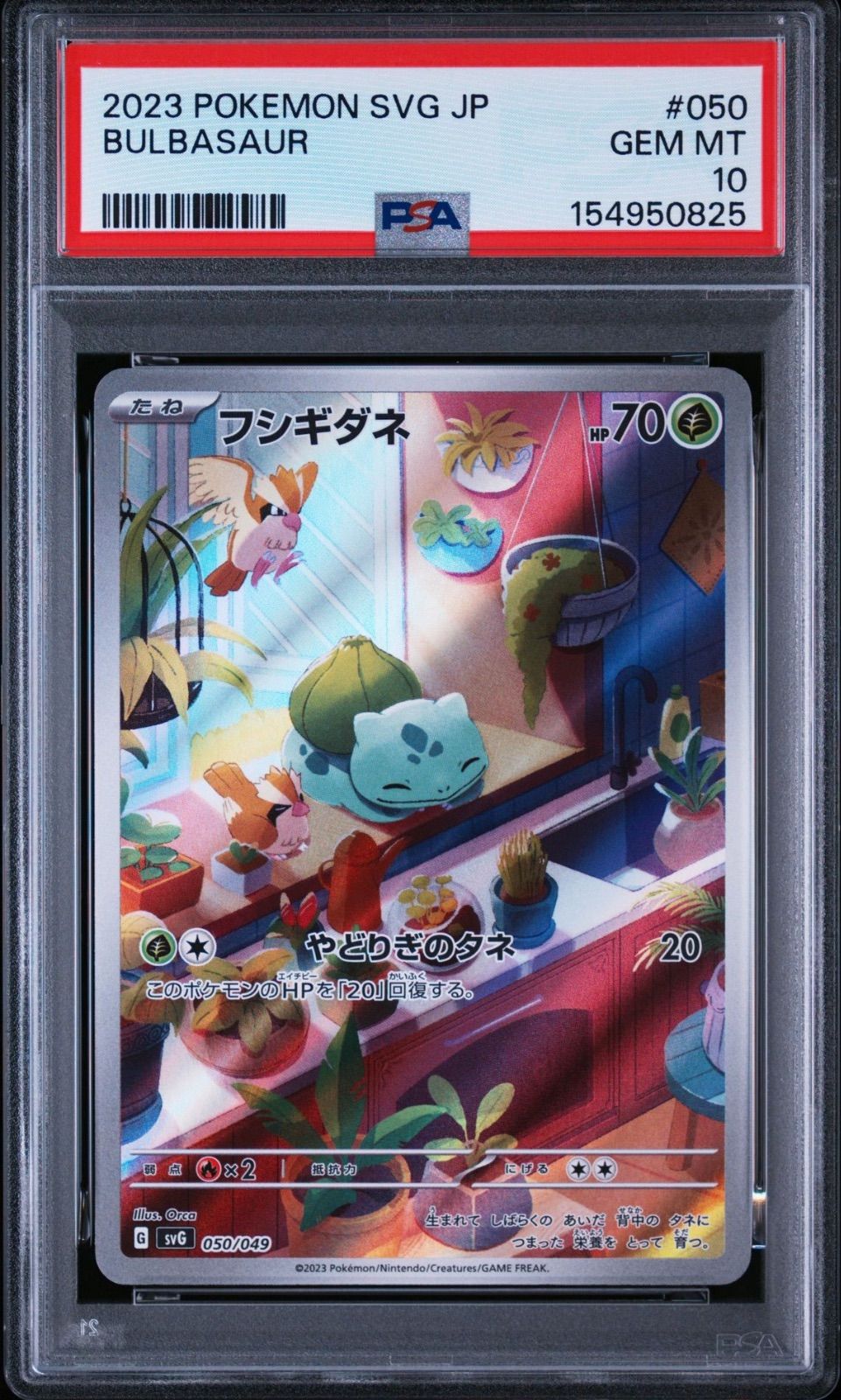 PSA10】 3連番 フシギダネ ヒトカゲ ゼニガメ AR スペシャルデッキ
