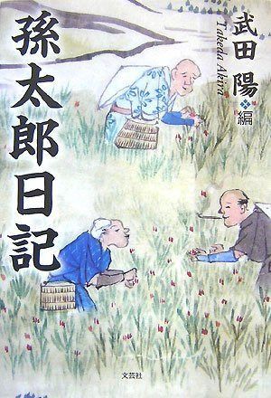 孫太郎日記 23,333円