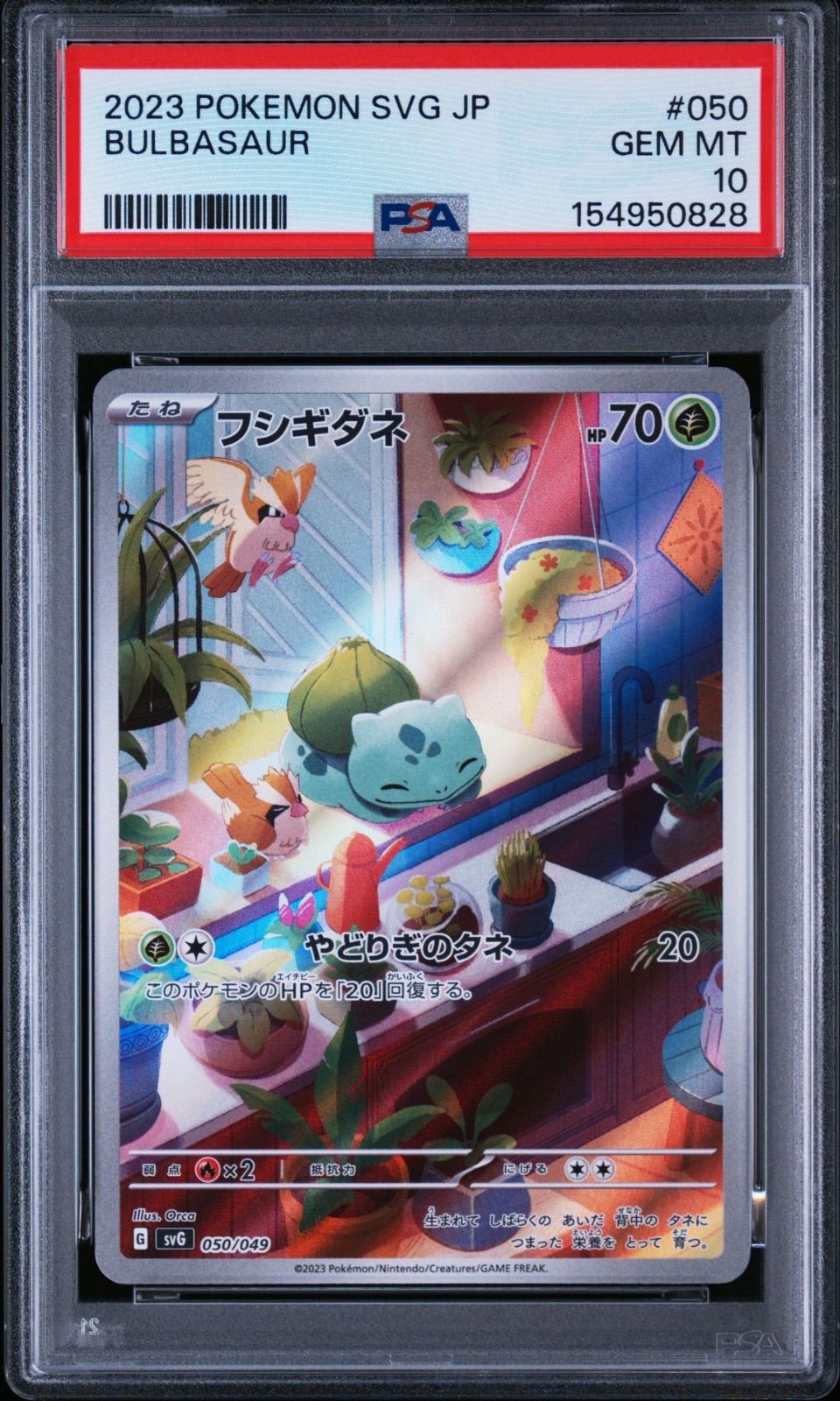 PSA9,PSA10】 3連番 フシギダネ ヒトカゲ ゼニガメ AR スペシャル