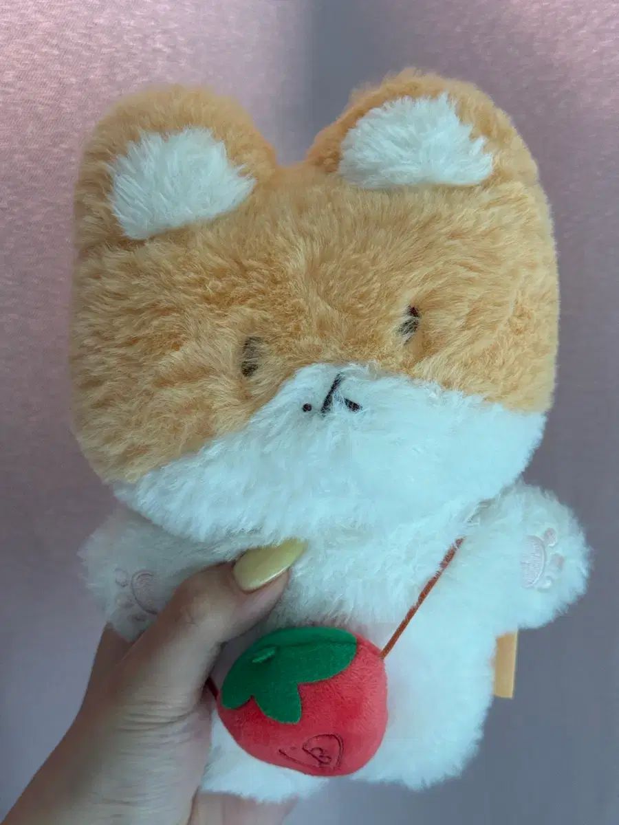 トレギINぬいぐるみ
