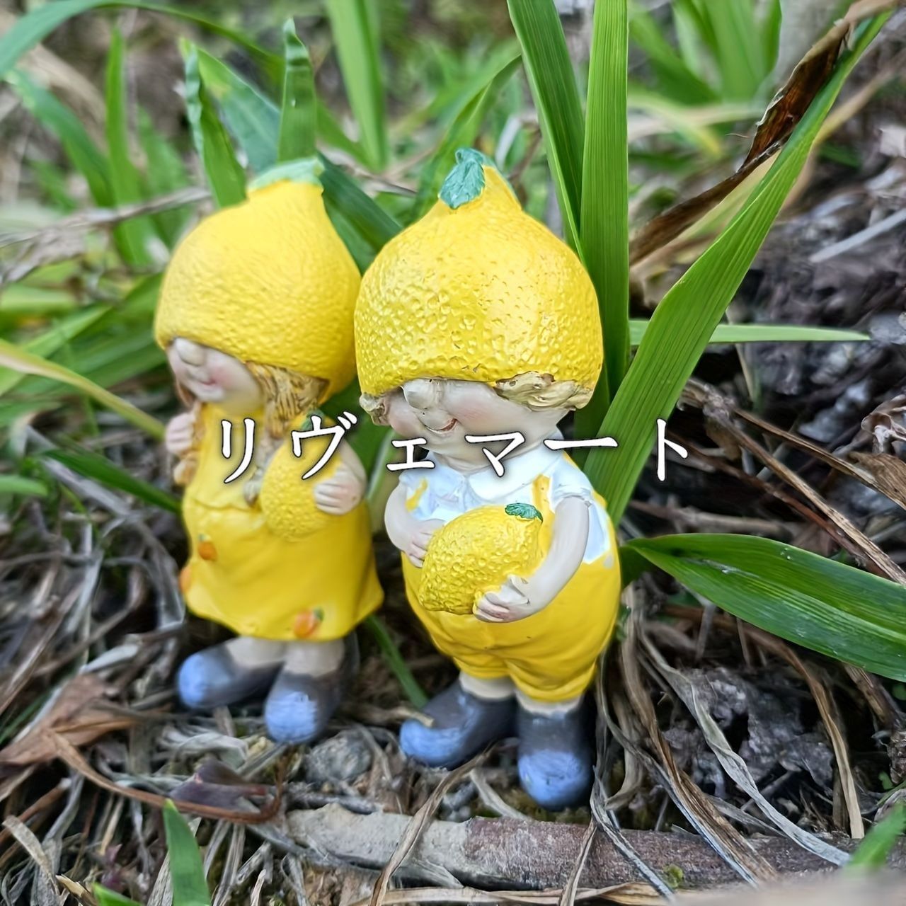 置物 オブジェ ガーデンオーナメント レモンの格好をしたカップル 屋内