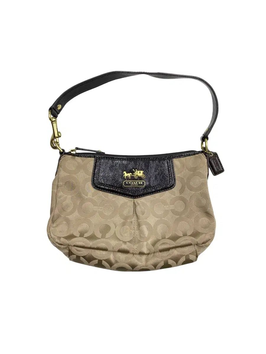 COACH コーチ y2k シグネチャー ミニバック