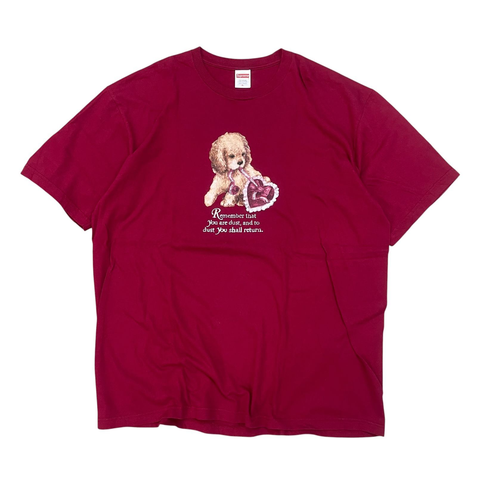 【SUPREME】 DUST TEE CARDINAL シュプリーム Tシャツ カーディナル