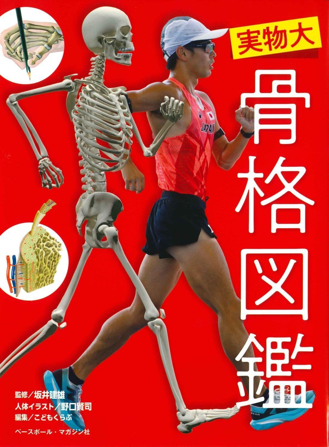 実物大 骨格図鑑