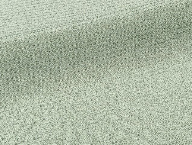 平和屋着物＊夏物　本加賀友禅作家　梶山伸監修　色無地　絽縮緬　山葵色　証紙付き　正絹　逸品　CABJ4012xi